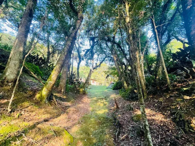 Imagem 14: Chácara à venda em Piraquara, Vila Franca, com 3 quartos, 5500m²