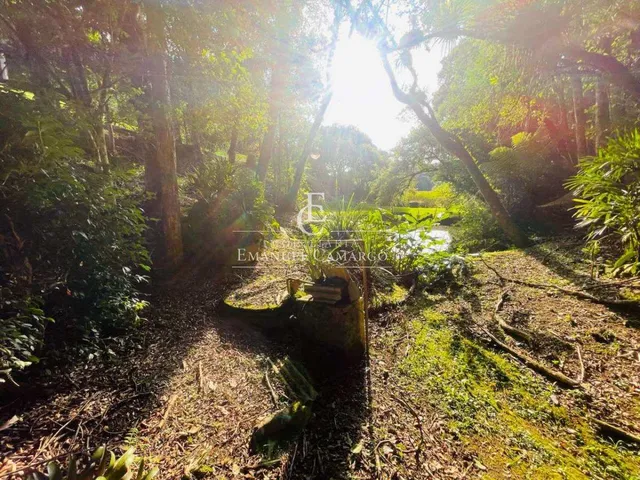 Imagem 12: Chácara à venda em Piraquara, Vila Franca, com 3 quartos, 5500m²