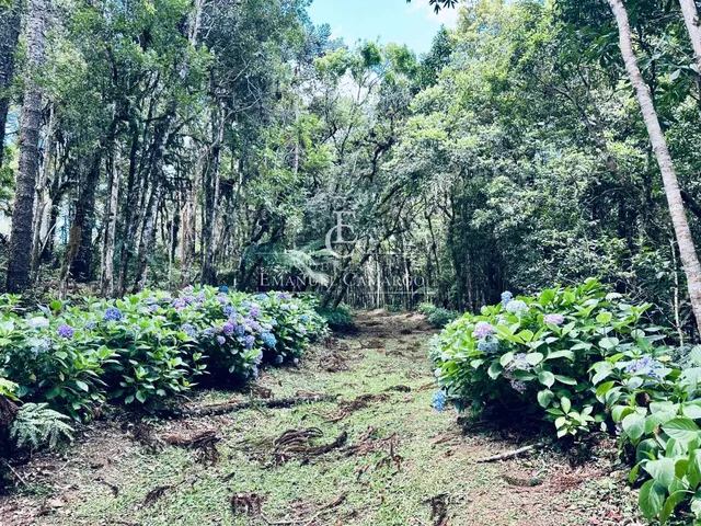 Imagem 3: Chácara à venda em Piraquara, com 2 quartos, 46170m²