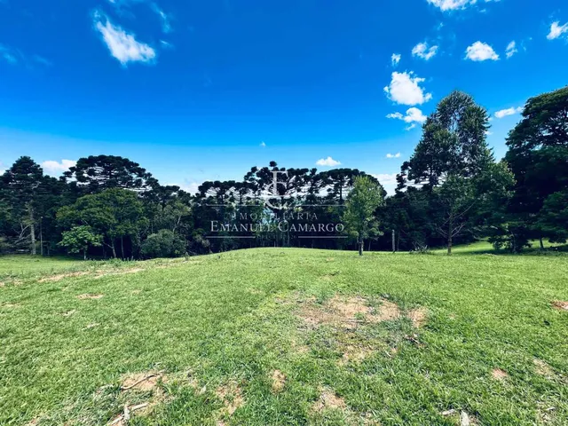 Imagem 15: Chácara à venda em Piraquara, com 2 quartos, 46170m²