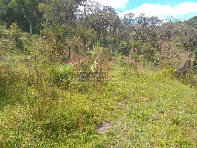 Imagem 14: Chácara à venda em São José dos Pinhais, Borda do Campo, com 2 quartos, 36000m²