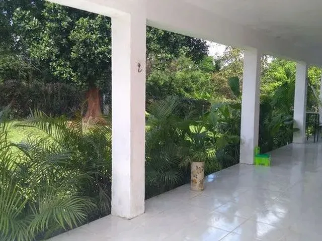 Imagem 2: Casa de 3 Quartos em Aldeia! Fora de Condomínio
