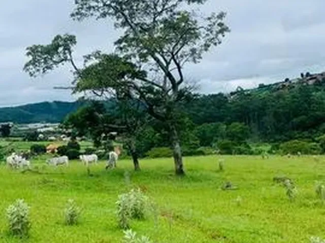 Imagem: Terrenos a Venda em Atibaia Grande Sp
