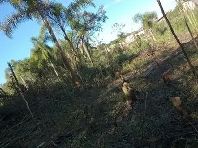 Imagem: Terreno