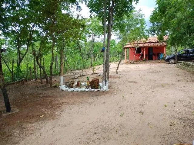 Imagem 4: Sítio Chácara com venda por R$40.000