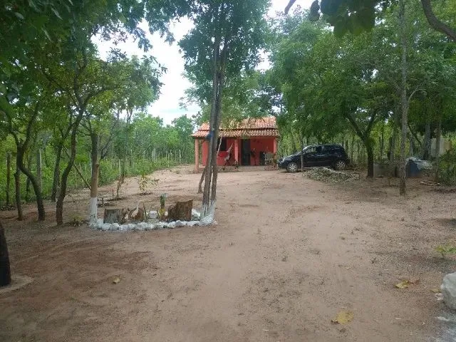 Imagem 8: Sítio Chácara com venda por R$40.000