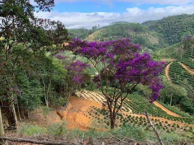 Imagem 4: Área de 20Mil Metros em Pedra Azul