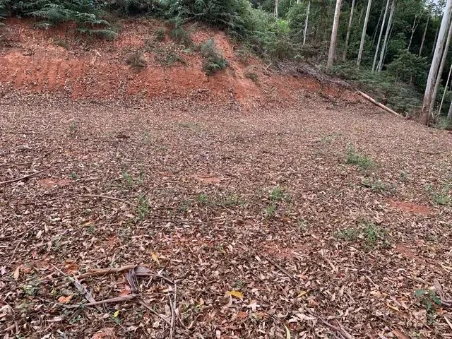 Imagem 6: Área de 20Mil Metros em Pedra Azul