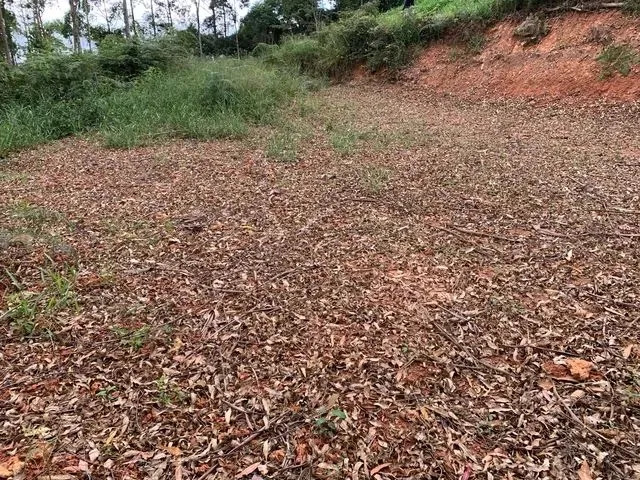 Imagem 2: Área de 20Mil Metros em Pedra Azul