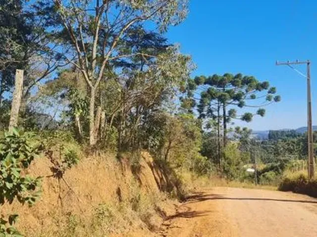 Imagem: Sítio P.grande