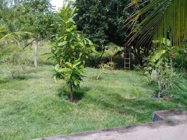 Imagem 14: Casa Duplex com Piscina no Haras Residence