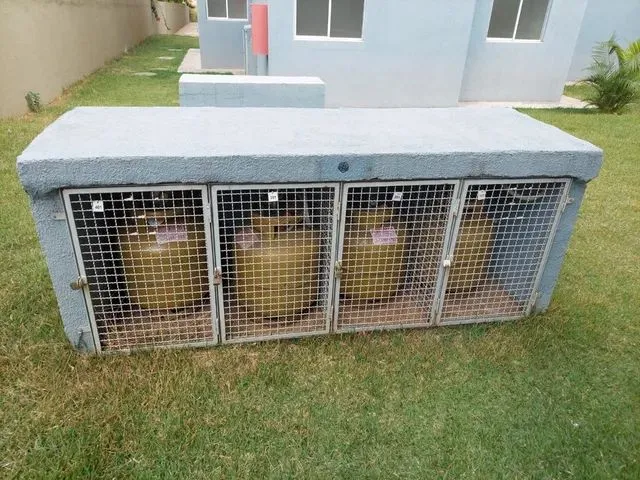 Imagem 10: Apartamento com 2 Dormitórios para Alugar em Contagem