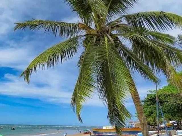 Imagem 4: .