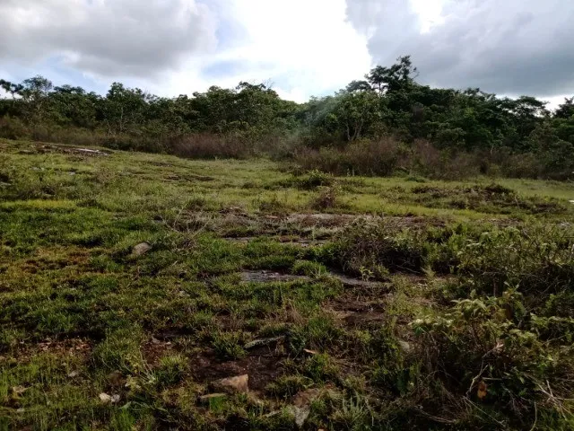 Imagem: Terreno com Área de 65 Hectares em Cláudio/Mg