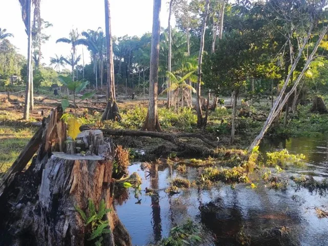 Imagem: Vendo Ou Troco Terreno Estrada de Novo Airão