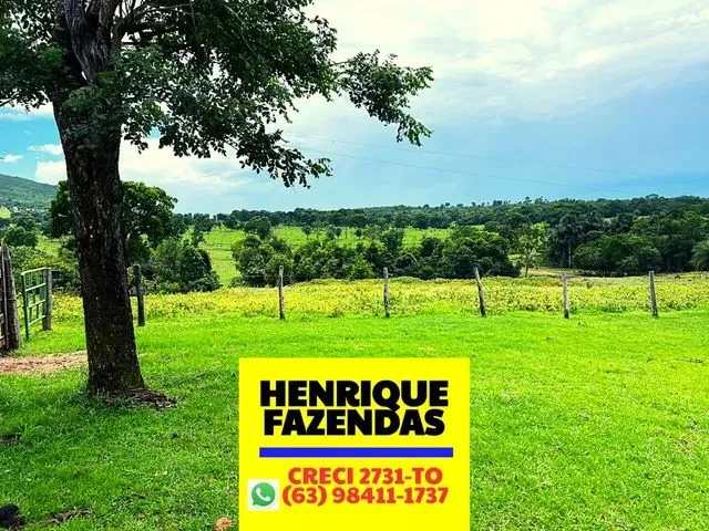 Imagem: Fazendas 114,7 Alqueires a Venda Dupla Aptidão