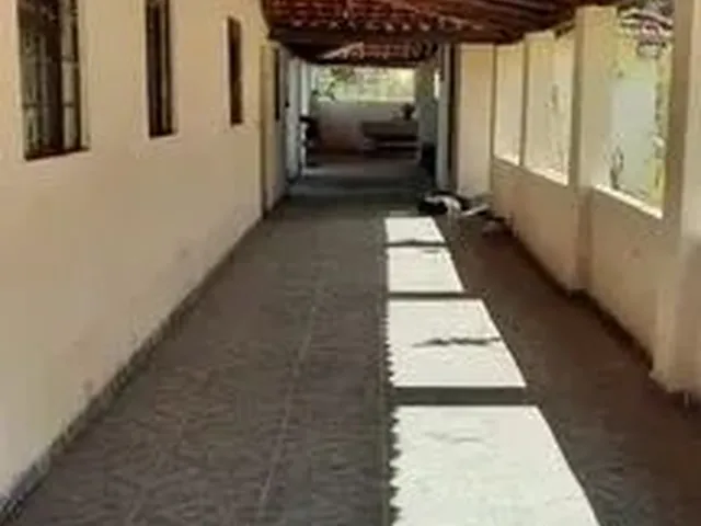 Imagem 13: Sítio 4.800M² a Venda com Água nos Fundos , Pomar , Casa com 4 Quartos !