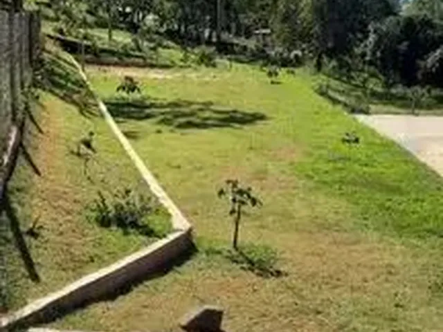 Imagem 9: Sítio 4.800M² a Venda com Água nos Fundos , Pomar , Casa com 4 Quartos !