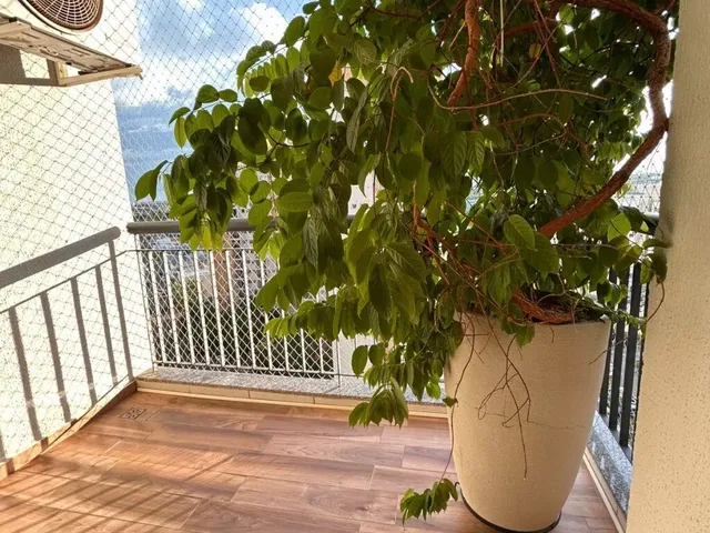 Imagem 4: Apartamento para venda, com sacada e suíte, Cuiabá