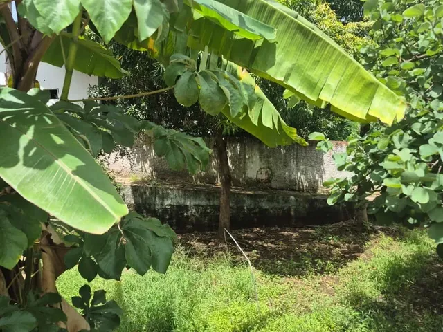 Imagem 9: Casa para venda, Boa Esperança, Cuiabá
