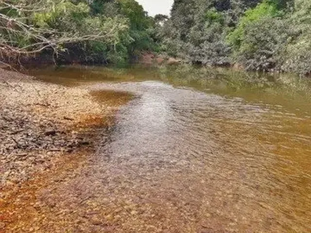 Imagem: Terrenos em condomínio rural para venda