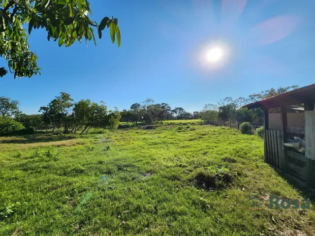 Imagem 3: Chácara urbana no Nova Esperança