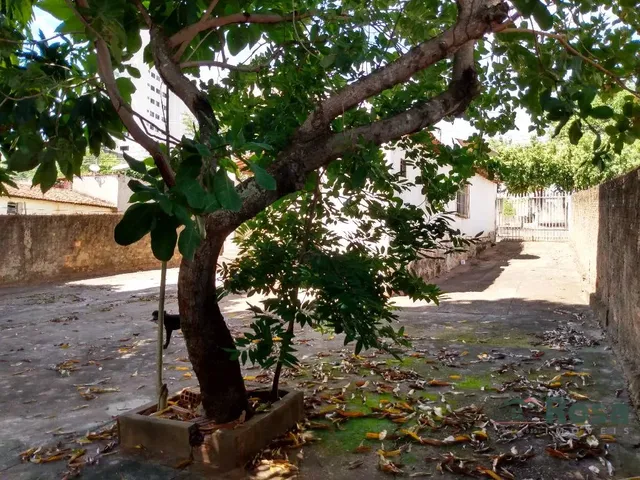 Imagem 3: TERRENO A VENDA RIBEIRÃO DA PONTE Cuiabá