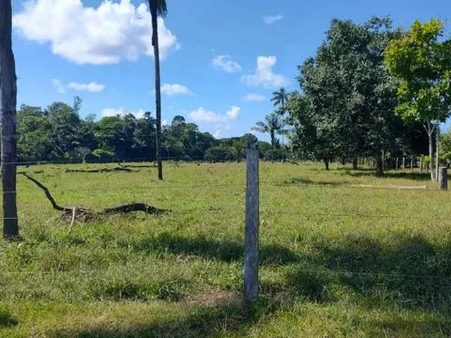 Imagem: Vendo Fazenda 53 Alqueiro, Só 13 Km Fora