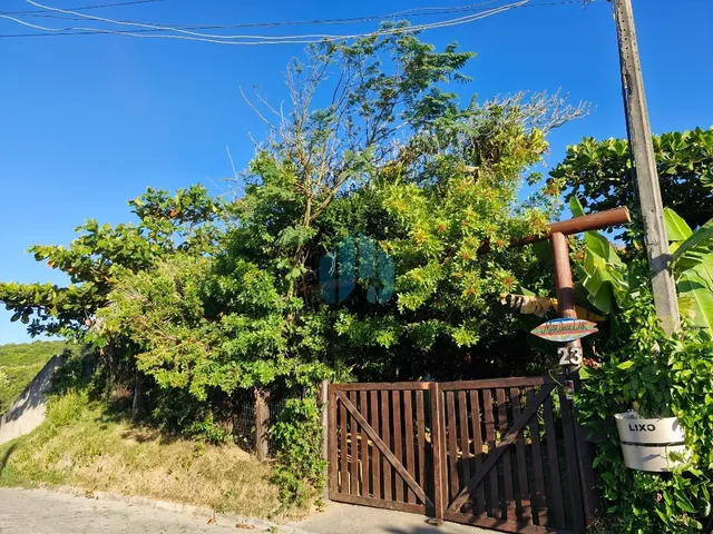 Imagem 16: Casa com Vista p/ Mar, a 100 m da Praia, Praia da Ribanceira