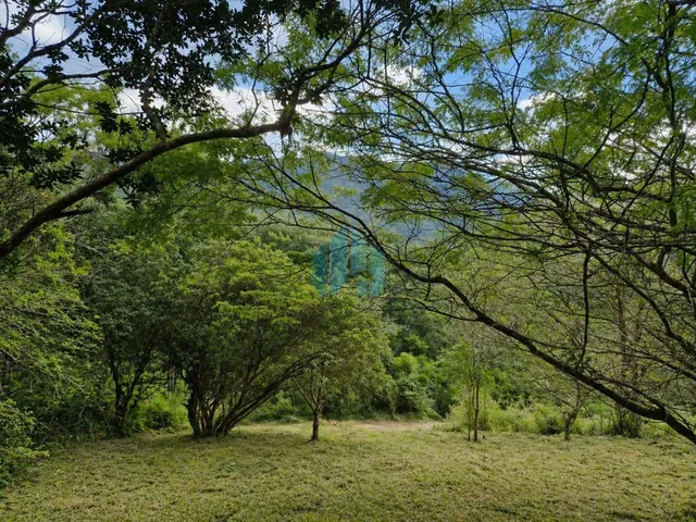 Imagem: Ótimo Terreno de Esquina, em Meio a Natureza