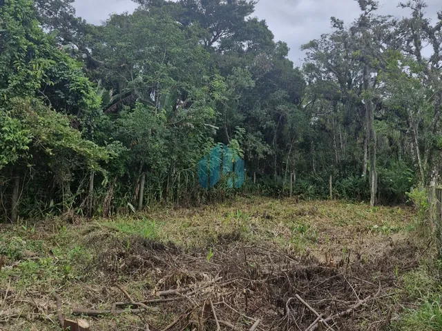 Imagem 3: Ótimo Terreno a 2 km da Praia da Barra e Poucos Minutos do Centro da Cidade, Encantada