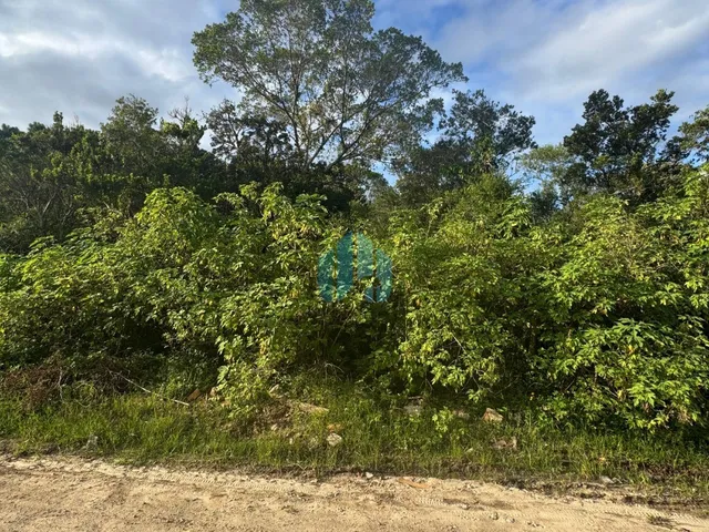 Imagem 4: Amplo Terreno a 700 m da Praia da Barra, Encantada