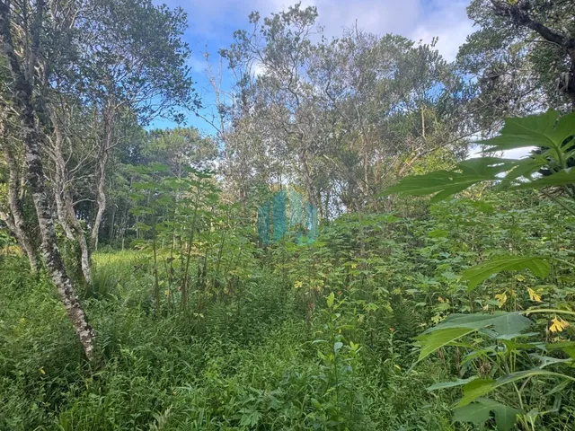 Imagem 5: Amplo Terreno a 700 m da Praia da Barra, Encantada
