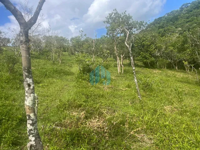 Imagem 3: Amplo Terreno de 15,9 Hectares, com Linda Vista p/ Mar, Siriú |...