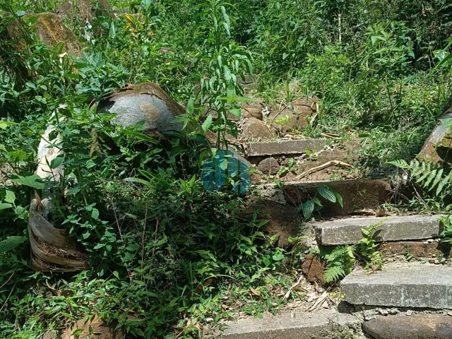 Imagem 8: Ótimo Terreno em Meio à Natureza, Encantada