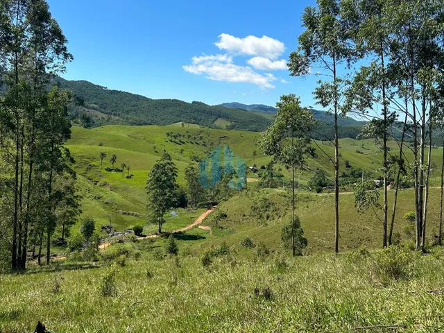 Imagem: Amplo Terreno de 3,09 Hectares em Área