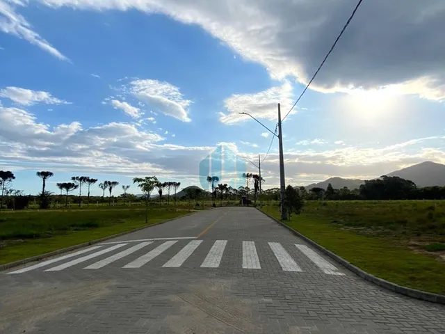 Imagem: Lotes no Loteamento Quinta das Palmeiras