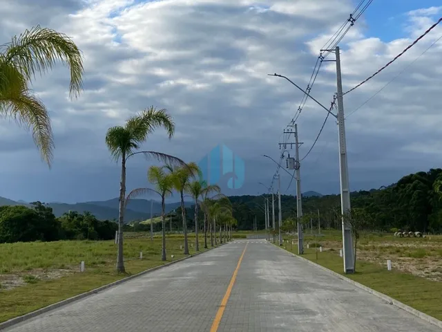 Imagem 4: Lotes no Loteamento Quinta das Palmeiras, Campo Duna