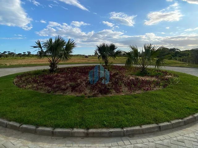 Imagem 2: Lotes no Loteamento Quinta das Palmeiras, Campo Duna