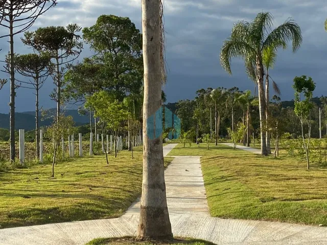 Imagem 6: Lotes no Loteamento Quinta das Palmeiras, Campo Duna