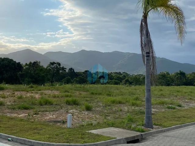 Imagem 3: Lotes no Loteamento Quinta das Palmeiras, Campo Duna