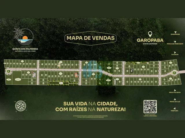 Imagem 5: Lotes no Loteamento Quinta das Palmeiras, Campo Duna
