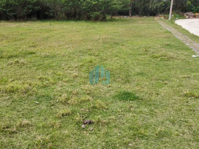 Imagem 7: Ótimo Terreno de Esquina, Loteamento Campo Duna, Campo Duna