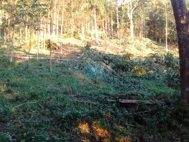 Imagem 5: Amplo Terreno Localizado no Bairro Encantada, em Garopaba!