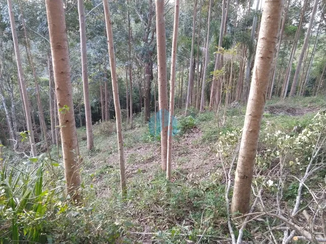 Imagem 3: Amplo Terreno Localizado no Bairro Encantada, em Garopaba!