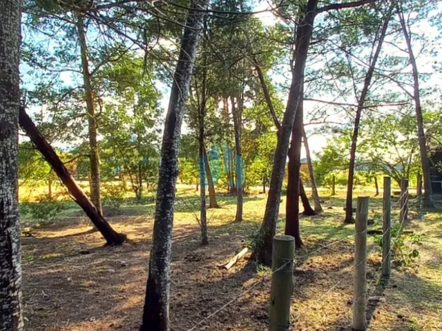 Imagem 5: Terreno com Ótima Localização, com Acesso à Lagoa de Ibiraquera, em Imbituba!