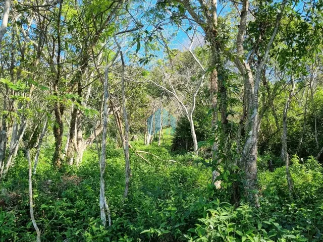 Imagem 12: Amplo Terreno com Linda Vista p/ Mar e Lagoa, em Garopaba!
