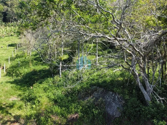 Imagem 6: Amplo Terreno com Linda Vista p/ Mar e Lagoa, em Garopaba!