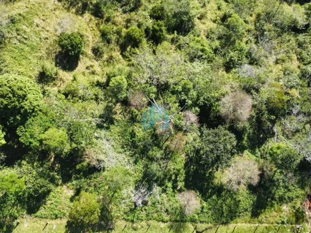 Imagem 7: Amplo Terreno com Linda Vista p/ Mar e Lagoa, em Garopaba!