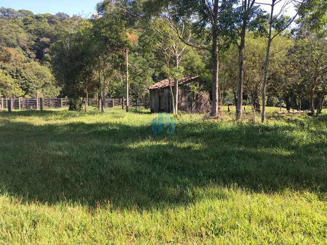 Imagem: Sítio com 34 Hectares, em Imaruí